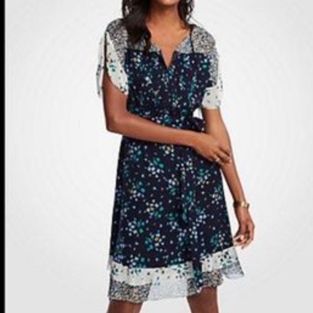Ann Taylor Mixed Floral Flounce Dress In Night Sky